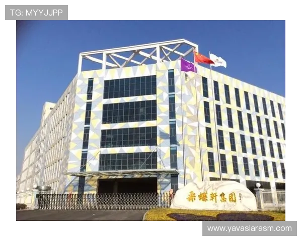 尊龙集团的多元化经营模式解析与实例分析