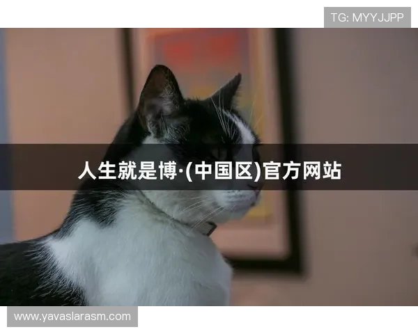 尊龙人生就是博天下：从游戏中汲取人生智慧实现梦想的指南