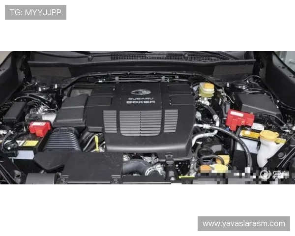 深度解析尊龙会官网的游戏种类与特色玩法